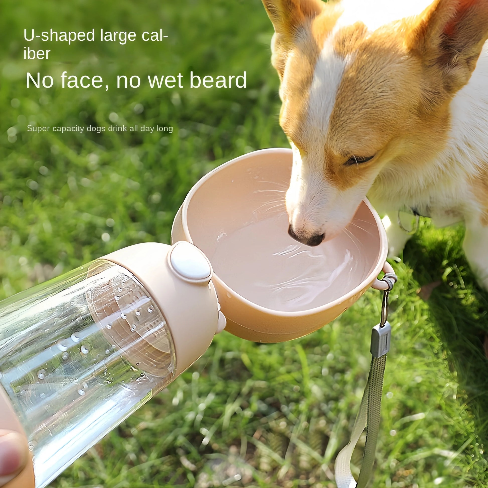 Travel-Friendly Dog Water Bowl & Food Dispenser - Portable Pet Water Cup for Dogs and Cats